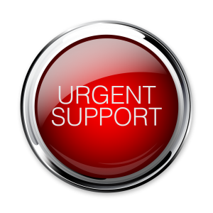 Case Studies - The IT Support Help Desk 3