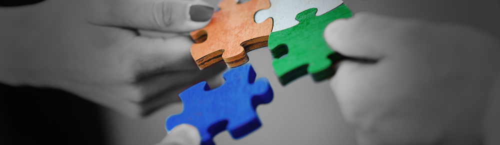 Case Studies - IT Consultancy 1 Case Studies - IT Consultancy 1